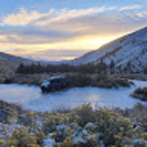 Meet your Posher, Jose